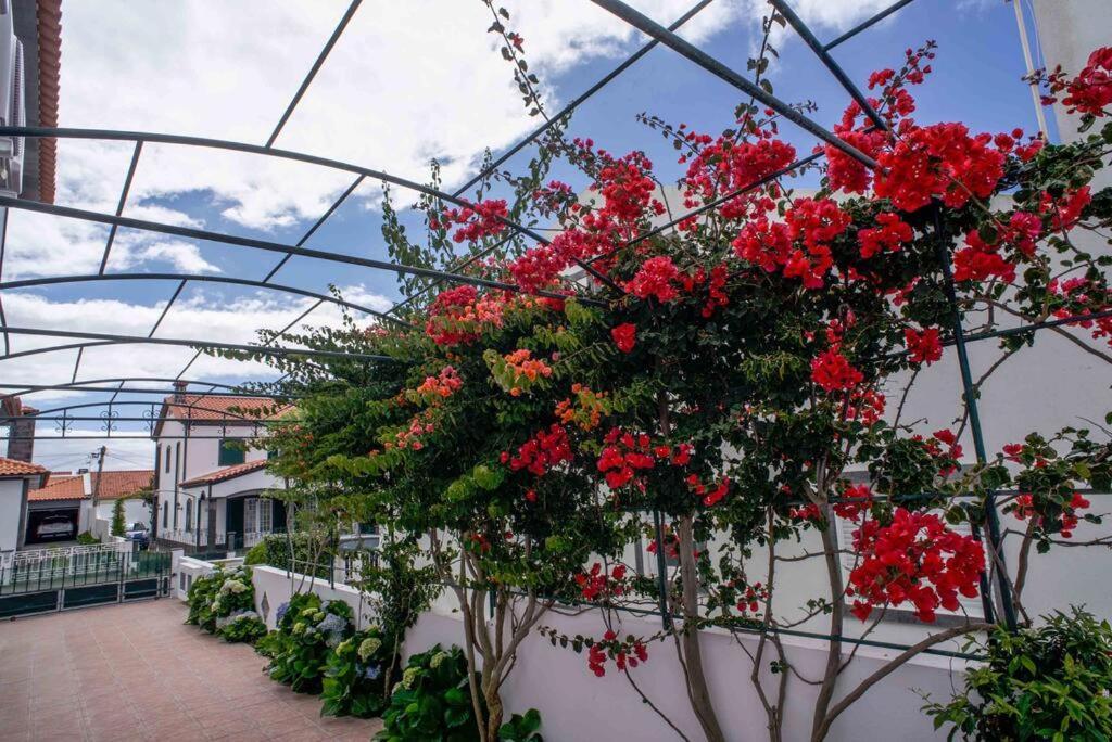 Apartamento Vivenda Glorizé Água de Alto Exterior foto